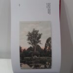 Adelaide Botanic Garden Postcards [NEW book]